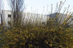 Via Valvassori Peroni 56